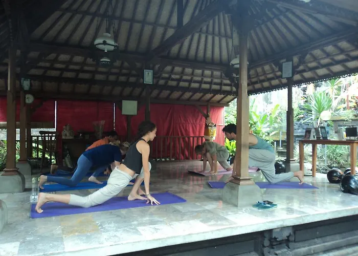 Bhuana Alit 2* Ubud