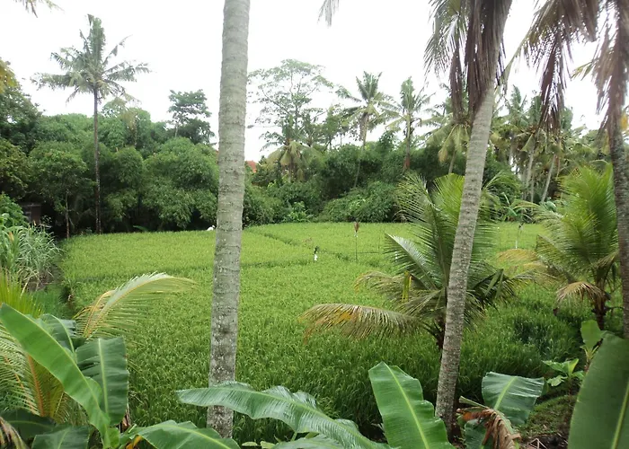 Bhuana Alit