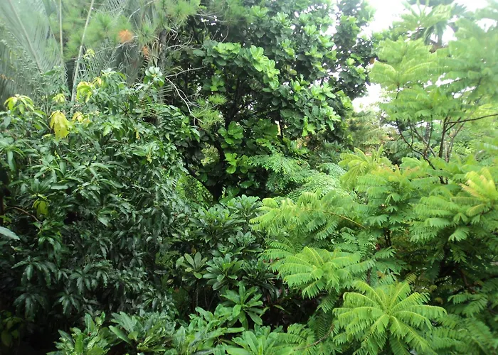 Pensión Bhuana Alit Ubud
