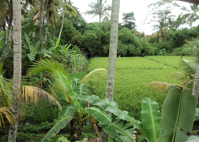 Pensión Bhuana Alit Ubud