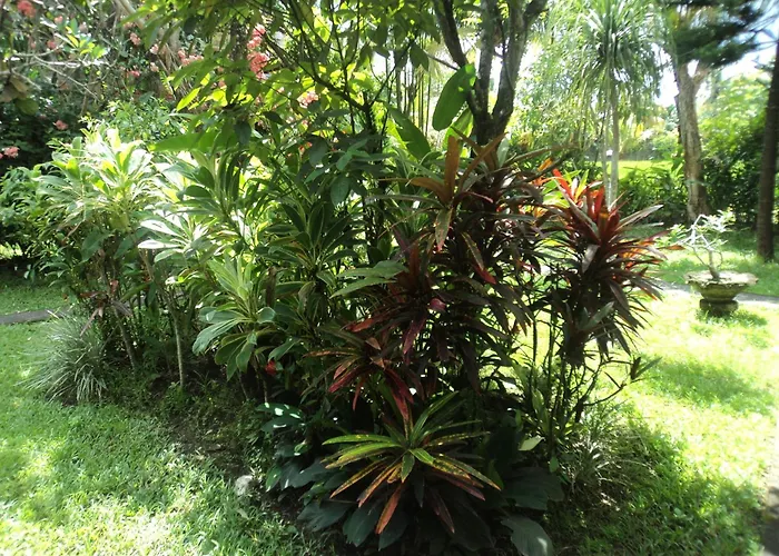 Pensión Bhuana Alit Ubud