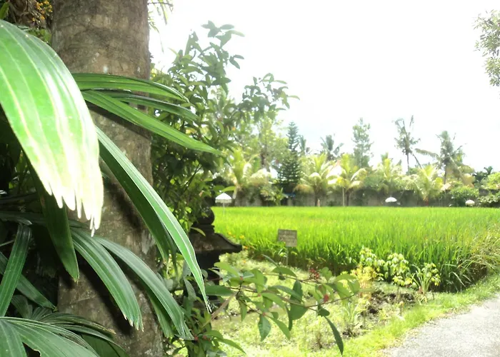 Bhuana Alit Pensión Ubud