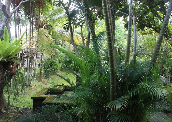Pensión Bhuana Alit Ubud